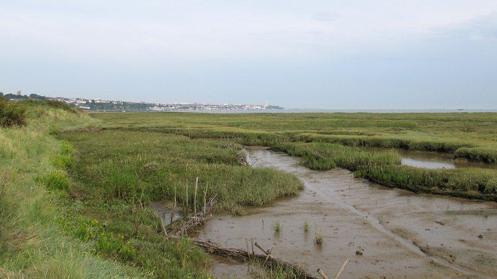 Mudlfats at Leigh-on-Sea