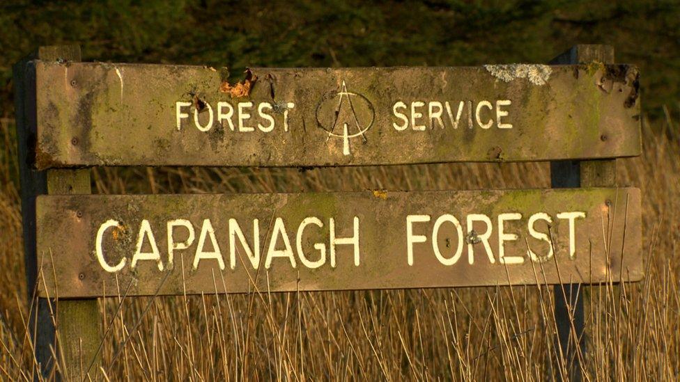 Capanagh Forest