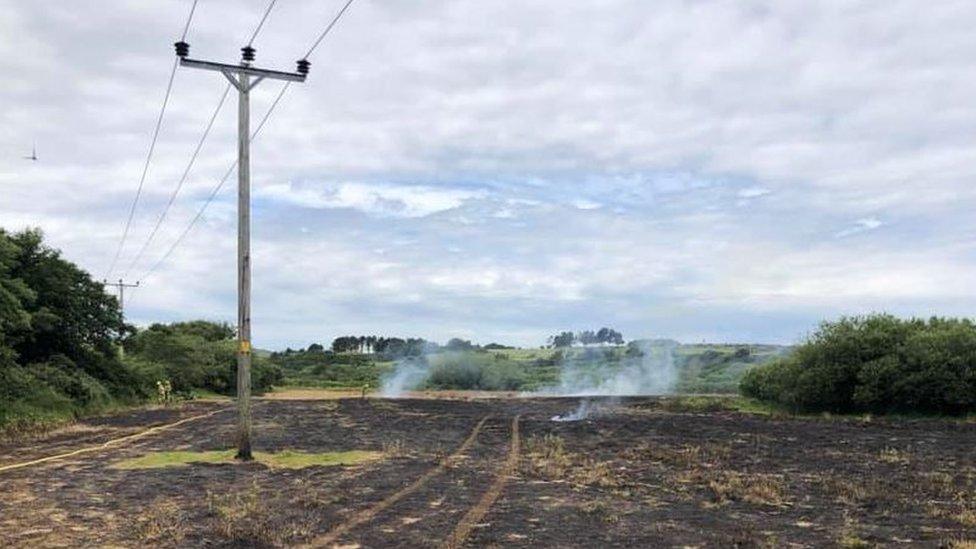 Scorched field and electricity pole