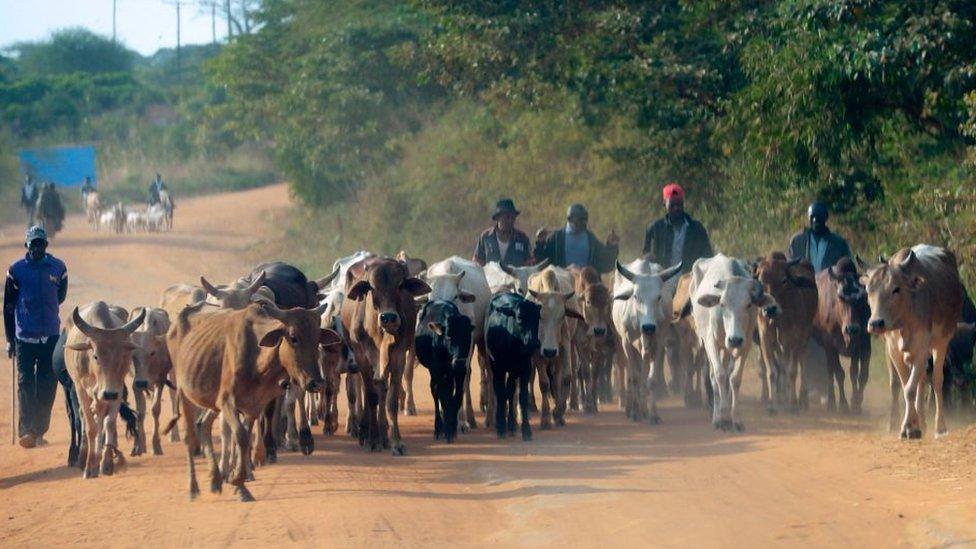 Farmers in Makueni County