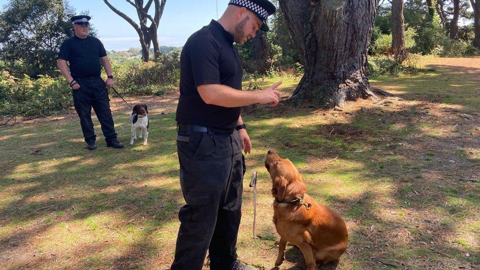 Police officer demonstrates how to control a dog