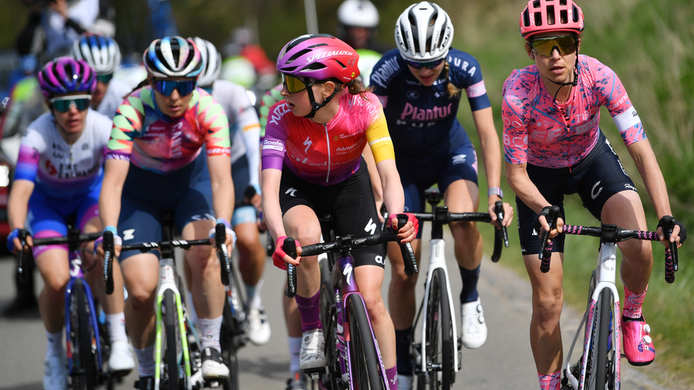 Cyclists in a road race