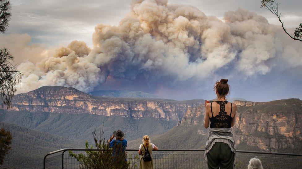 Massive clouds of smoke above a bushfire in the Blue Mountains region, just west of Sydney