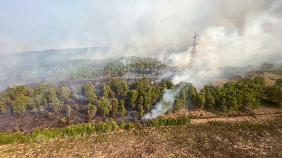 Aerial image of wildfire