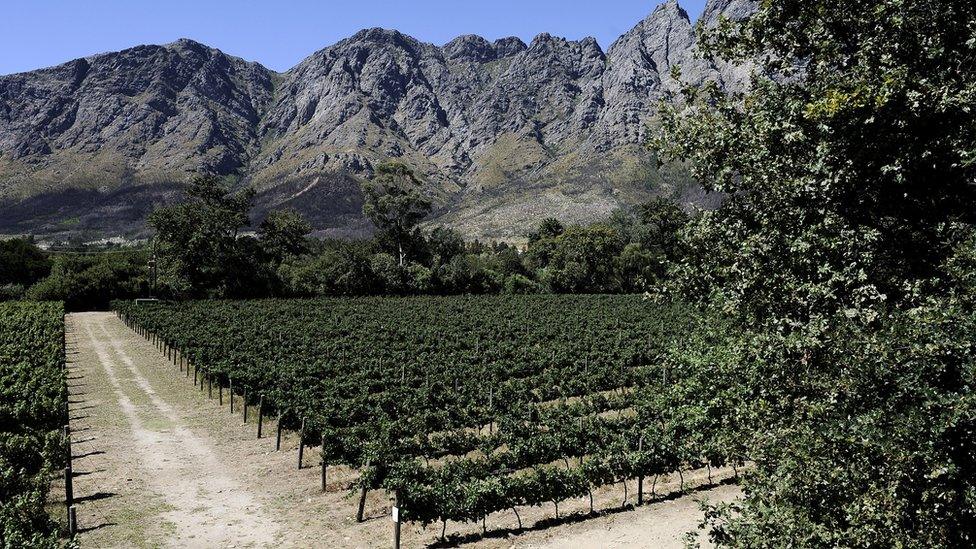 A farm in Franschoek, Cape Winelands, Western Cape