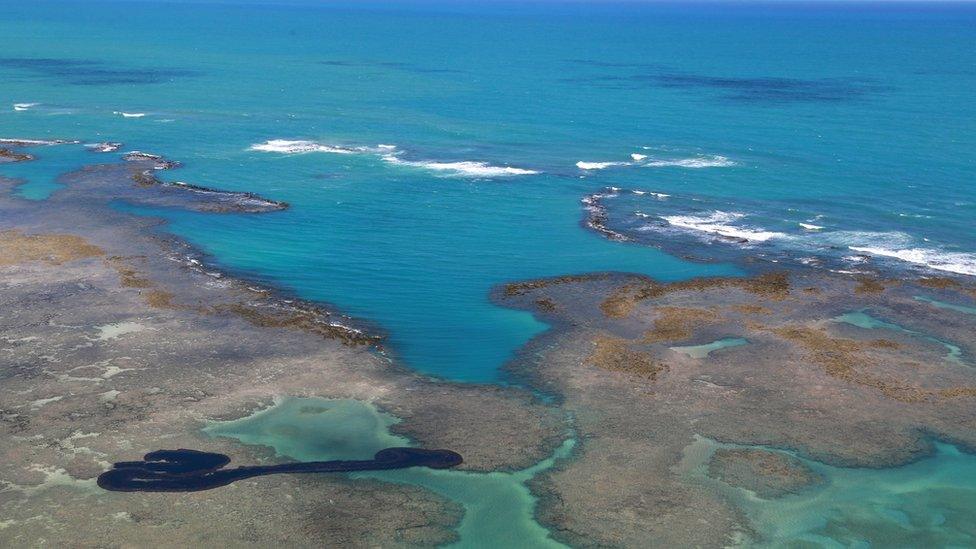 Oil sitting on the surface of the water near Maragogi in Brazil