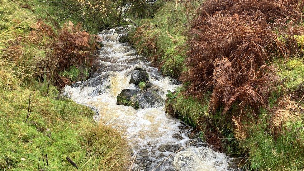 One of the 14 streams that flow into the river