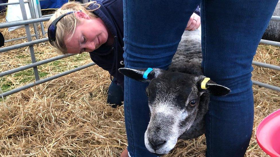 Morwenna Thurley with sheep