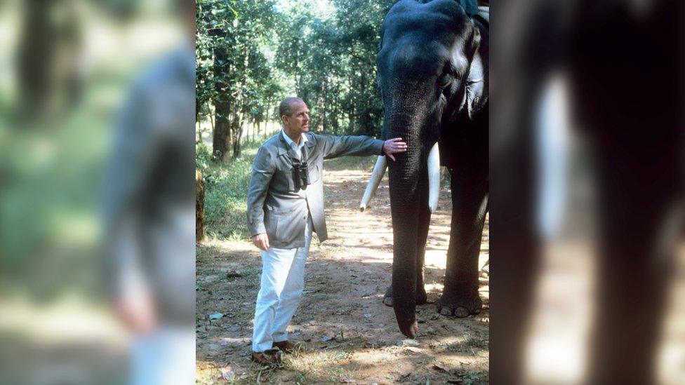 Prince Philip stroking an elephant