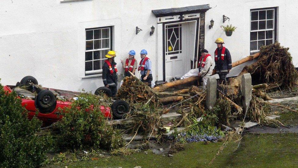 fallen tree damage in a storm