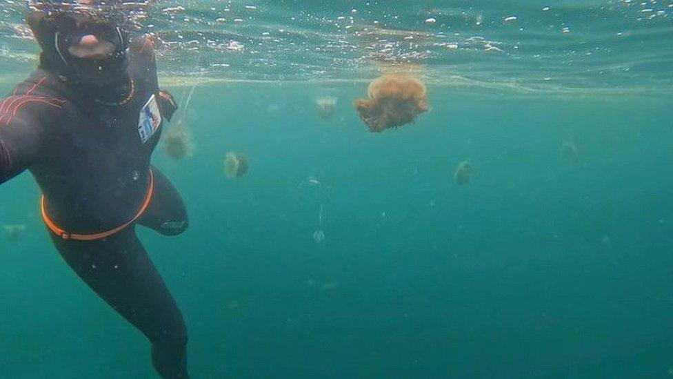 Jasmine Harrison with jellyfish