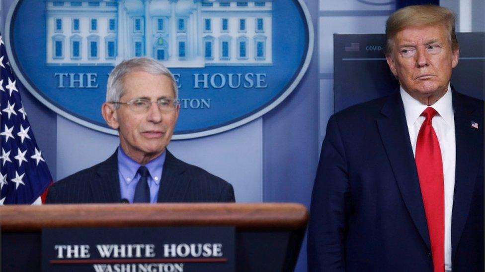 Dr Anthony Fauci and President Donald Trump