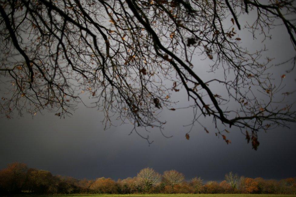 A wintry view of a farm field