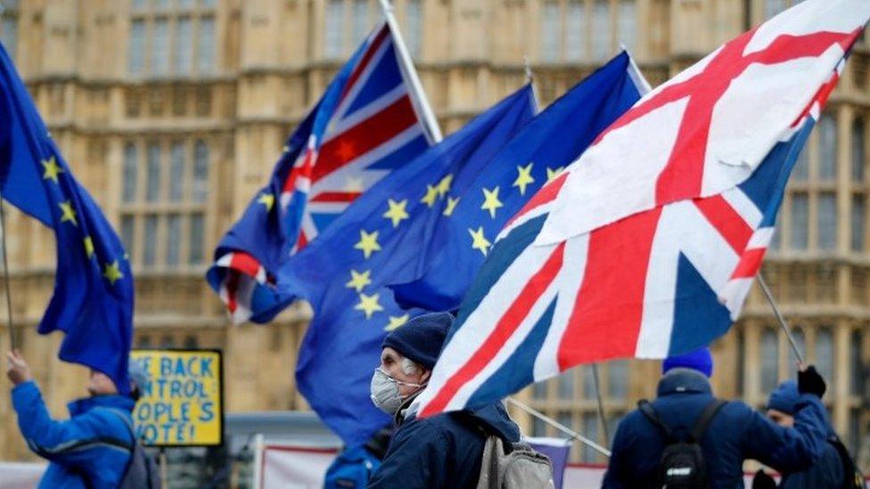 Demonstrators with flags in Westminster