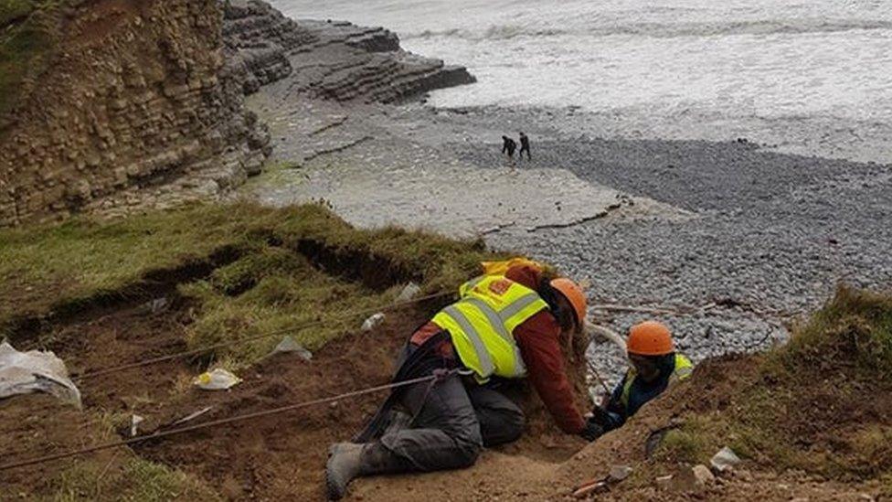 Experts attached to ropes excavate the remains from the top of the cliff ledge