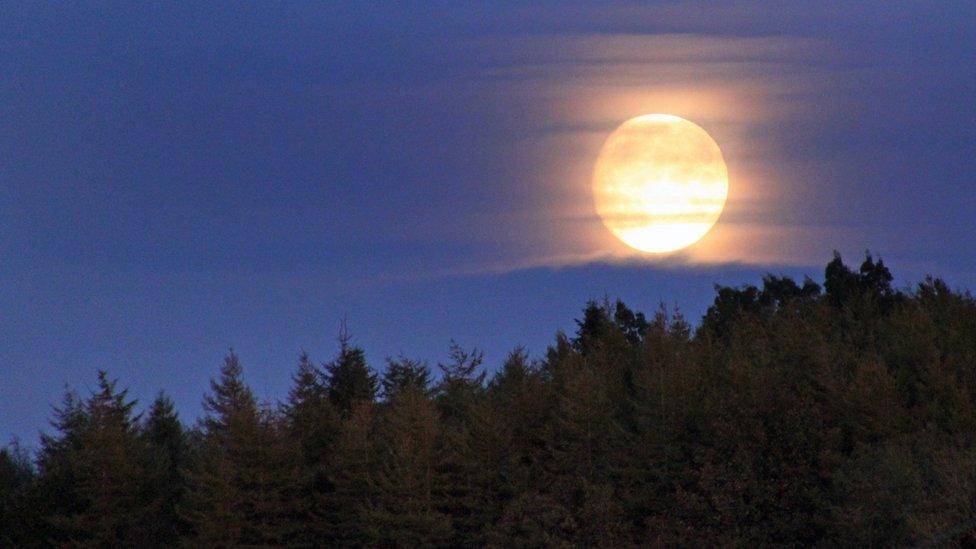 The Moon in the sky over Ballycastle forest