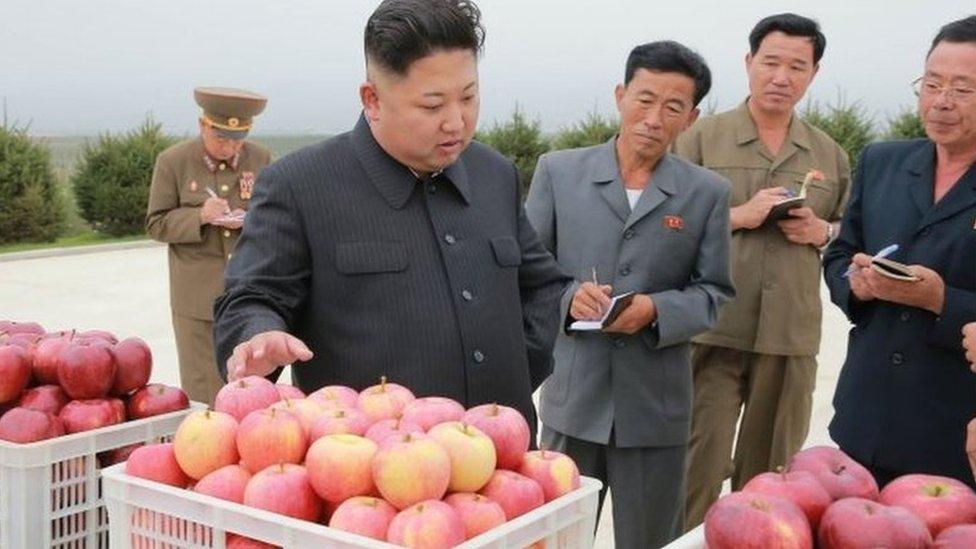 This undated picture released by North Korean news agency, KCNA (Korean Central News Agency) on September 18, 2016 shows North Korean leader Kim Jong-Un visiting the Kosan combined fruit farm.