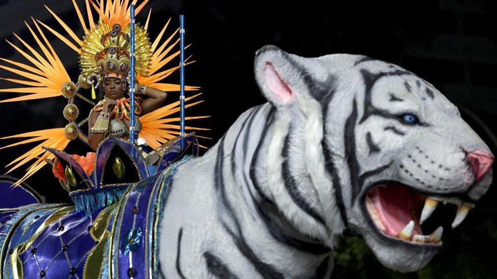 A reveller from Paraiso do Tuiuti samba school gets ready to perform during the second night of the carnival parade at the Sambadrom