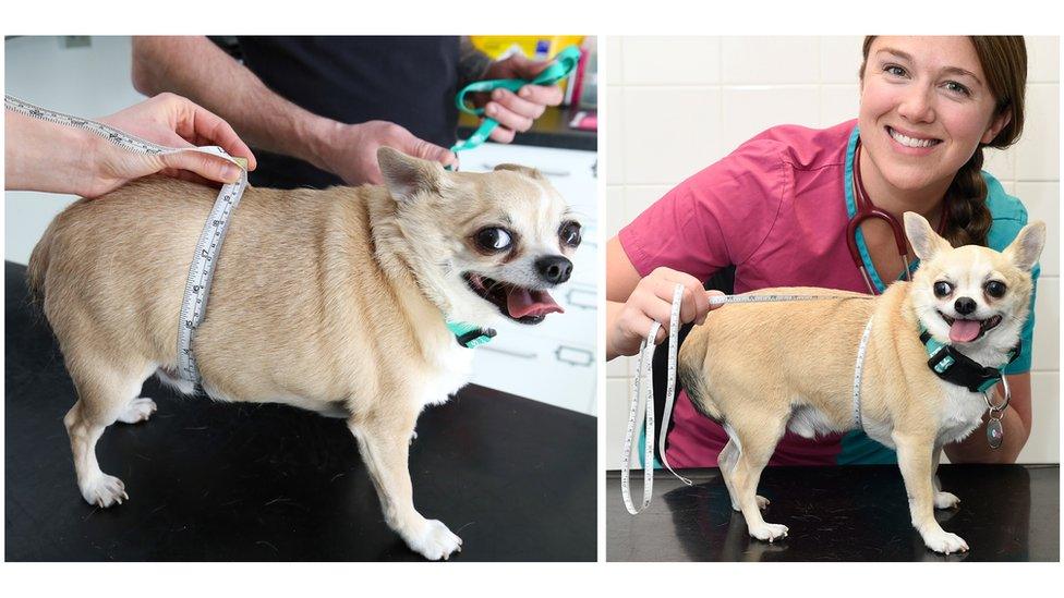 Tyty aint no fatty no more