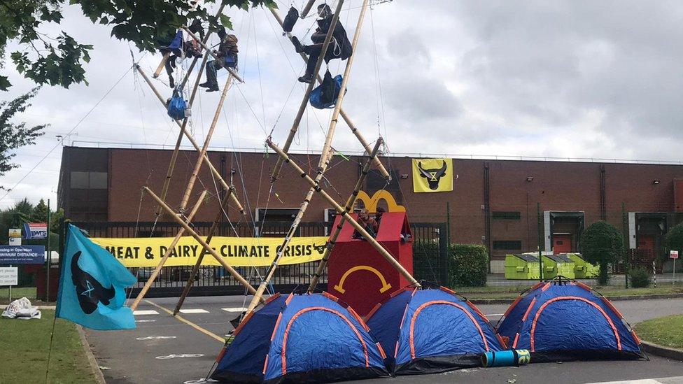 Animal Rebellion activists at the factory in Scunthorpe