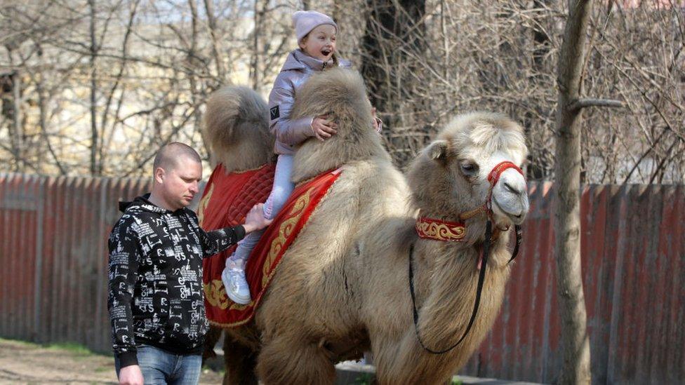 girl-riding-camel.