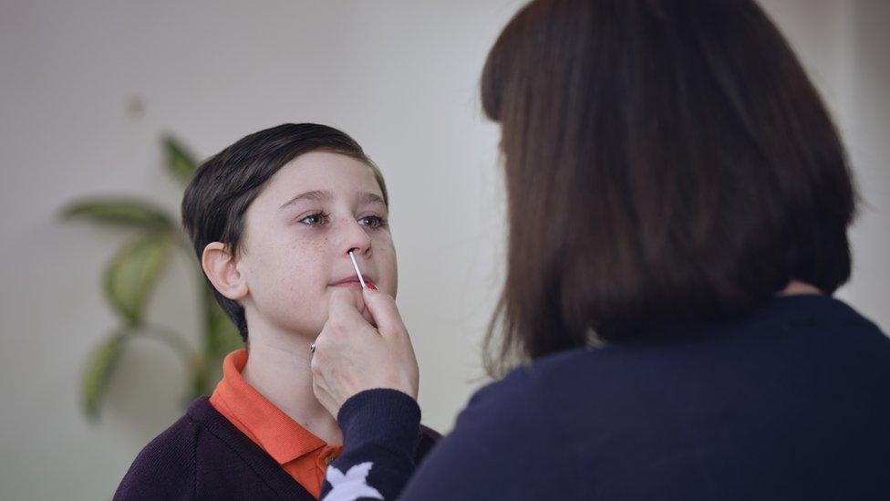 boy having his nose swabbed for a lateral flow test