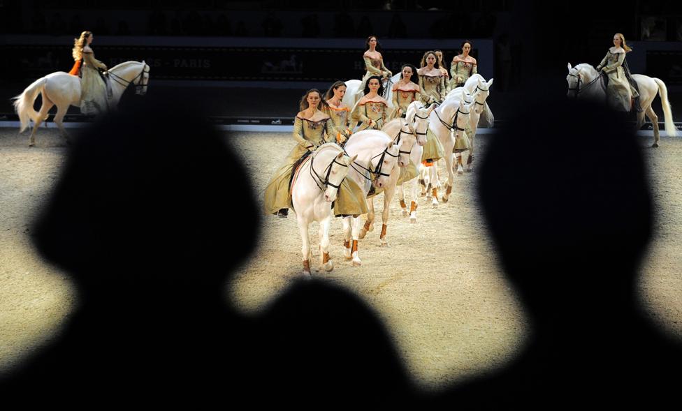 Dancing with horses - BBC News