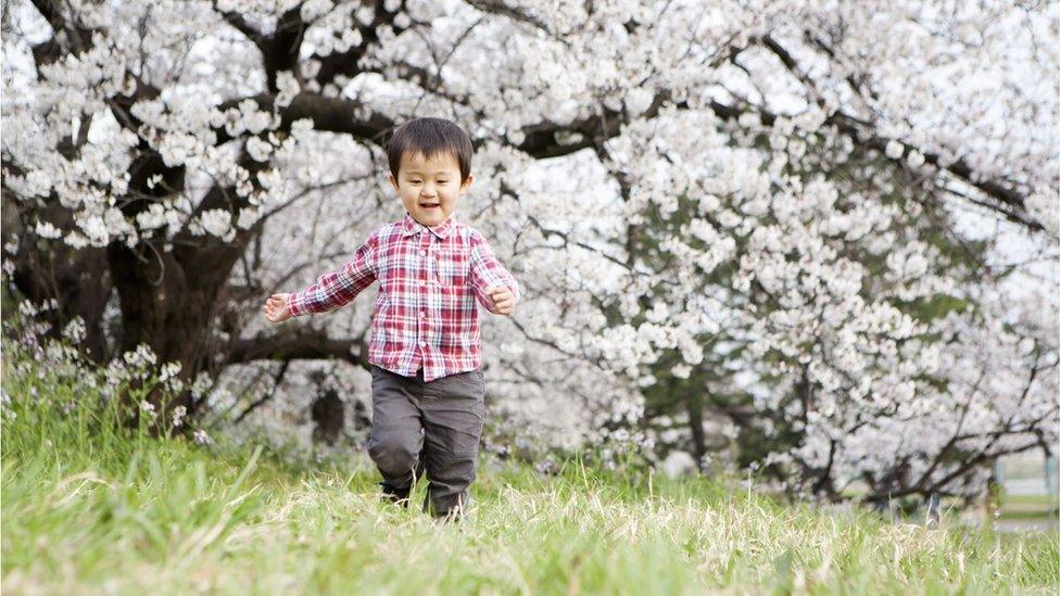 boy-running-through-blossoms