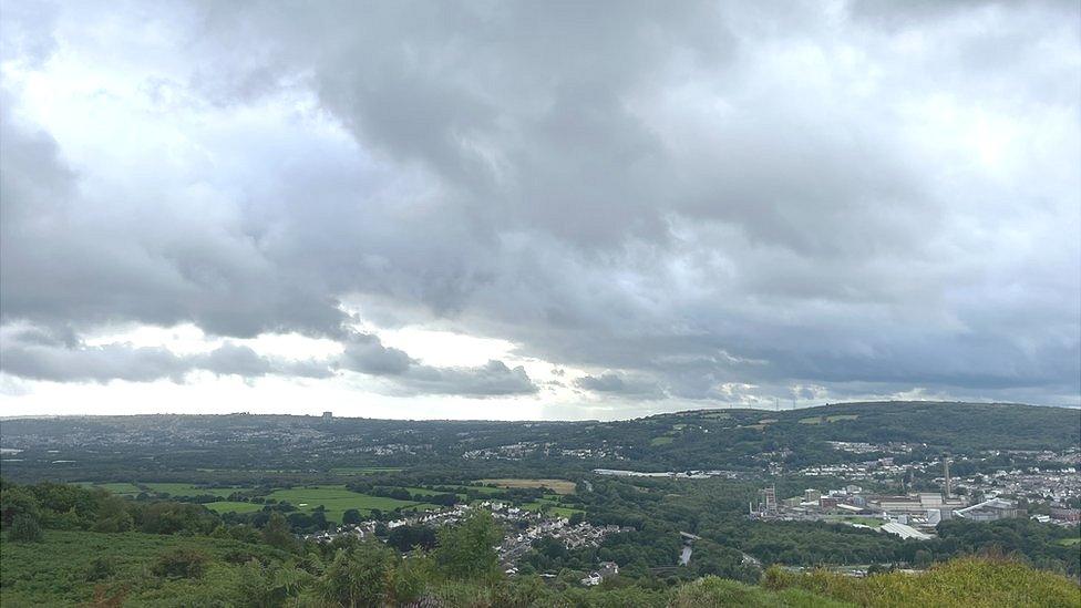 Craig y Perchyll, which extends above Glais, in Swansea county, is home to a host of rare species