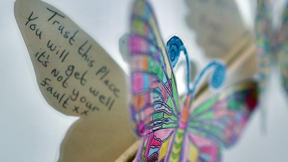 art showing a butterfly with the words: "Trust this place, you will get well, it's not your fault"