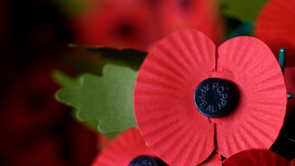 A red poppy, like the ones worn by millions for remembrance.