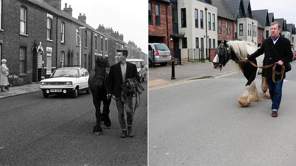 Horse being walked along street