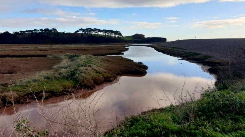 Otter Estuary