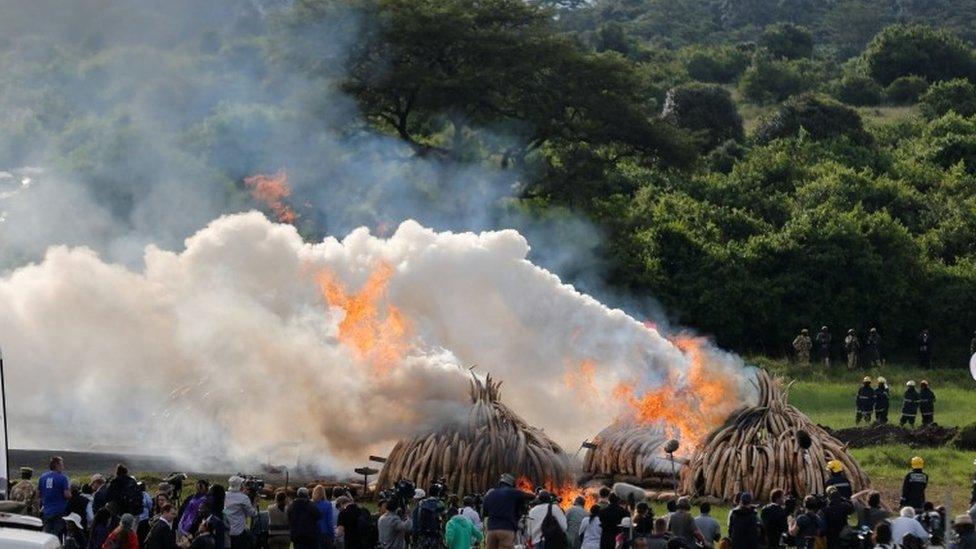 People watch as smoke rises from piles of tusks