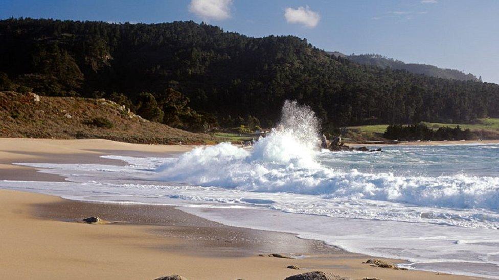 Monastery Beach