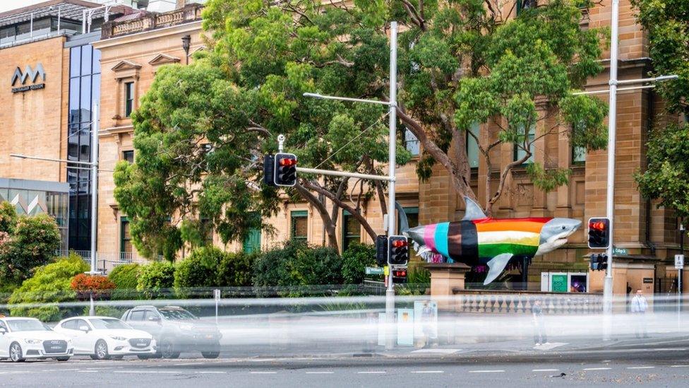 Progress Shark pictured outside the Australian Museum