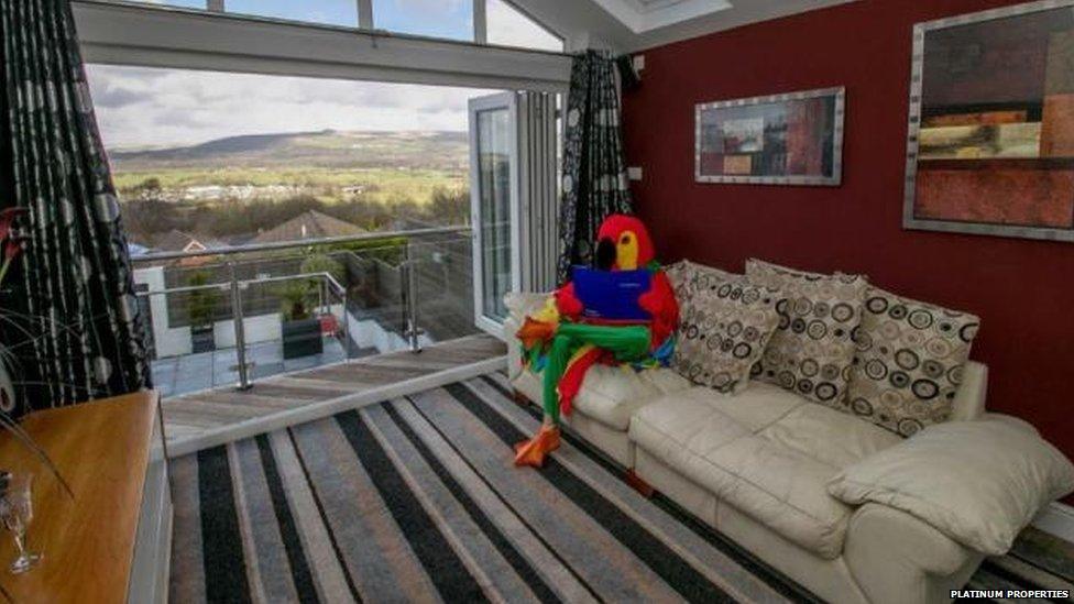 The parrot crashes on his sofa with a good book, after a hard day at work