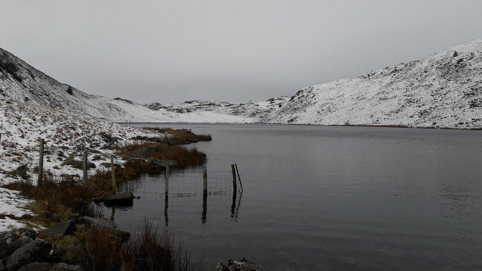 Snowy landscape