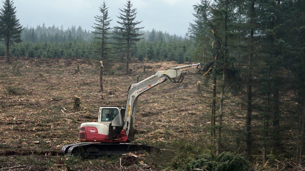 Vertical mulcher