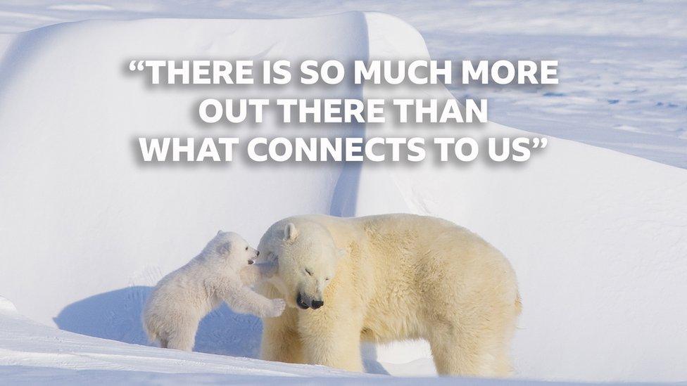 polar-bears-quote.