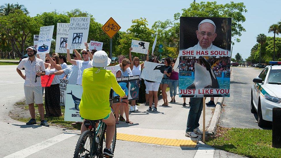 A protest to free Lolita