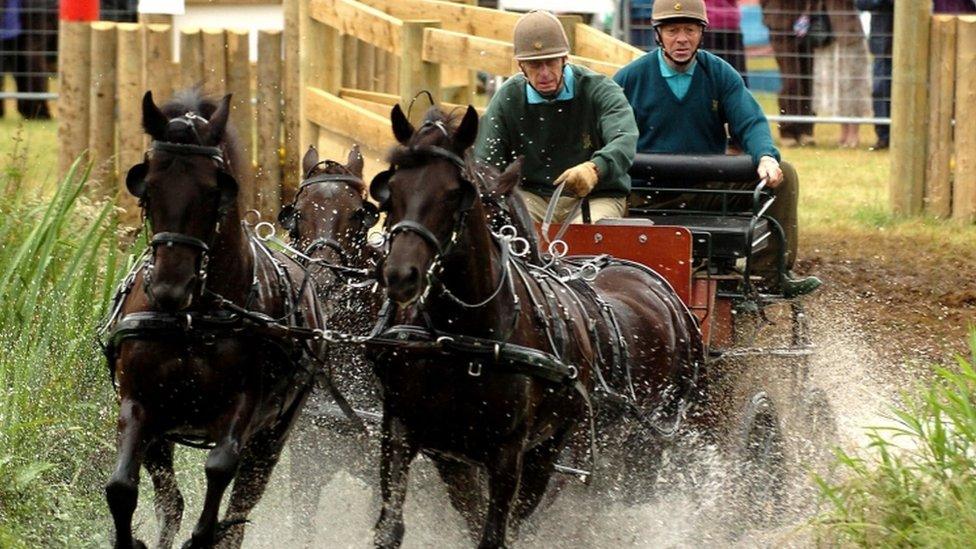 Prince Philip carriage driving at Sandringham