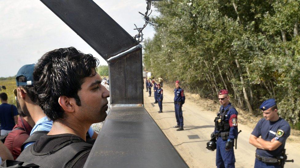 Migrants look through border fence between Serbia and Hungary, near Horgos, Serbia. 15 Sept 2015