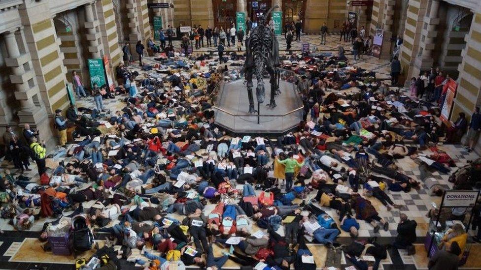 Lie in around dinosaur in museum