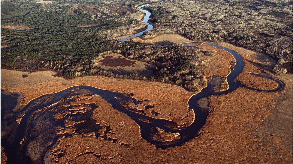 Aerial of the headwaters of Mississippi River, about 8 miles from its source at Itasca lake, winds through marshes, very shallow, winding through marshlands and past farms between its source at Lake Itasca and Lake Bemidji, Minnesota