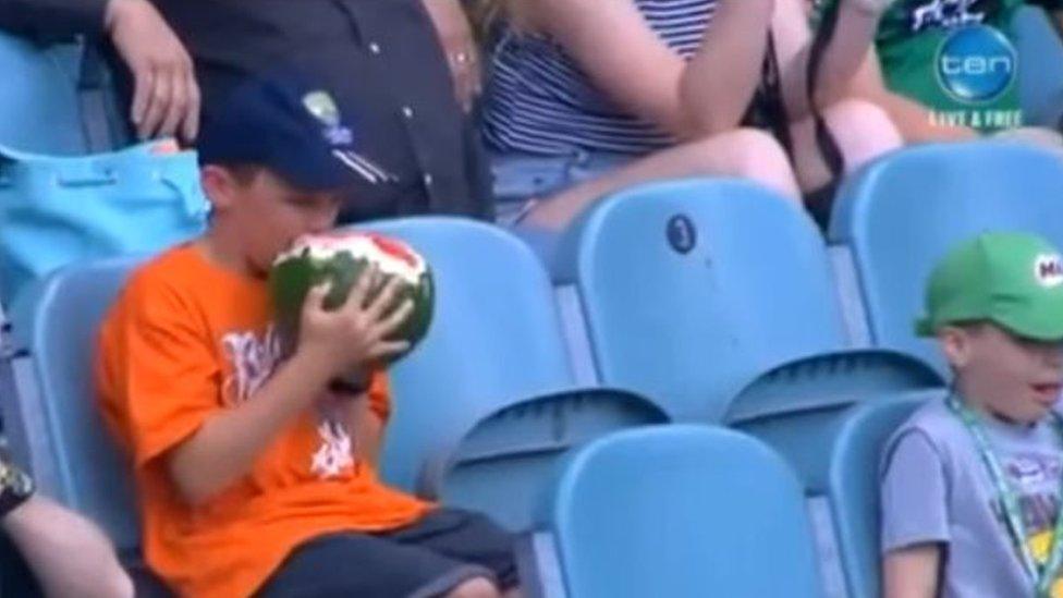 'Watermelon boy' eats a watermelon at a cricket match in Melbourne