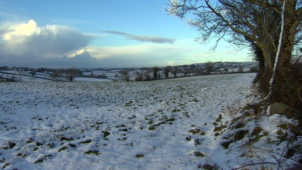 This snowy scene was filmed near Katesbridge on 12 December