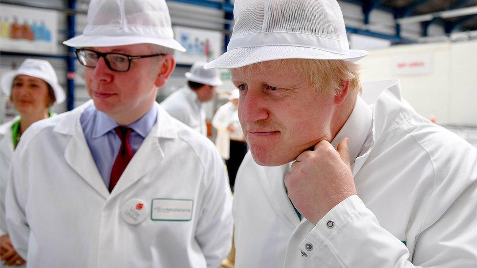 Michael Gove and Boris Johnson