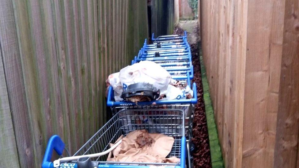 shopping trolleys in an alleyway