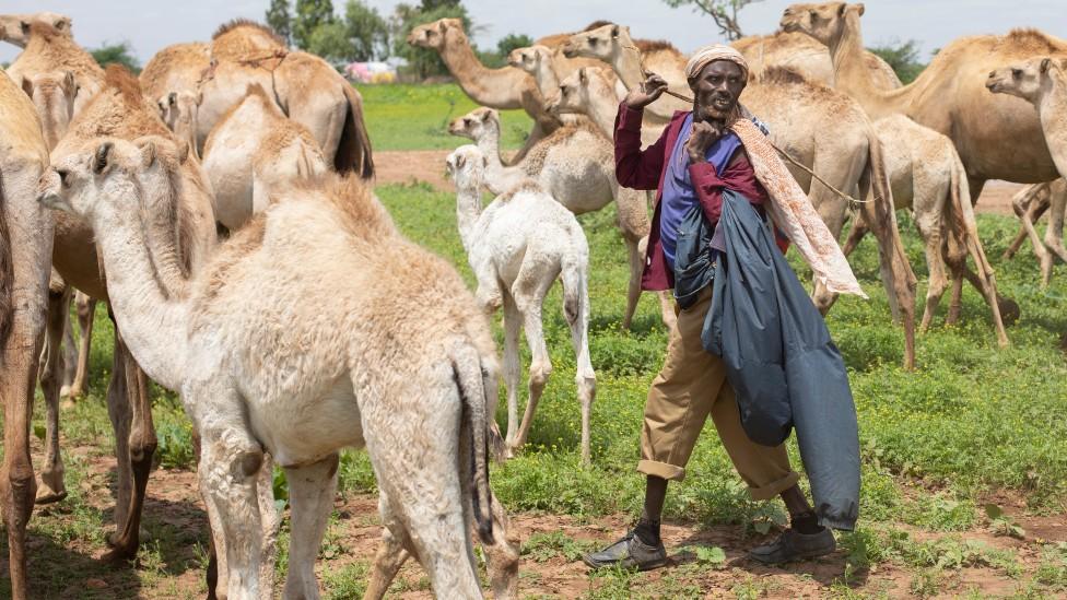 Nomadic Somali-speaking camel herders on the site of an old refugee camp in Ethiopia